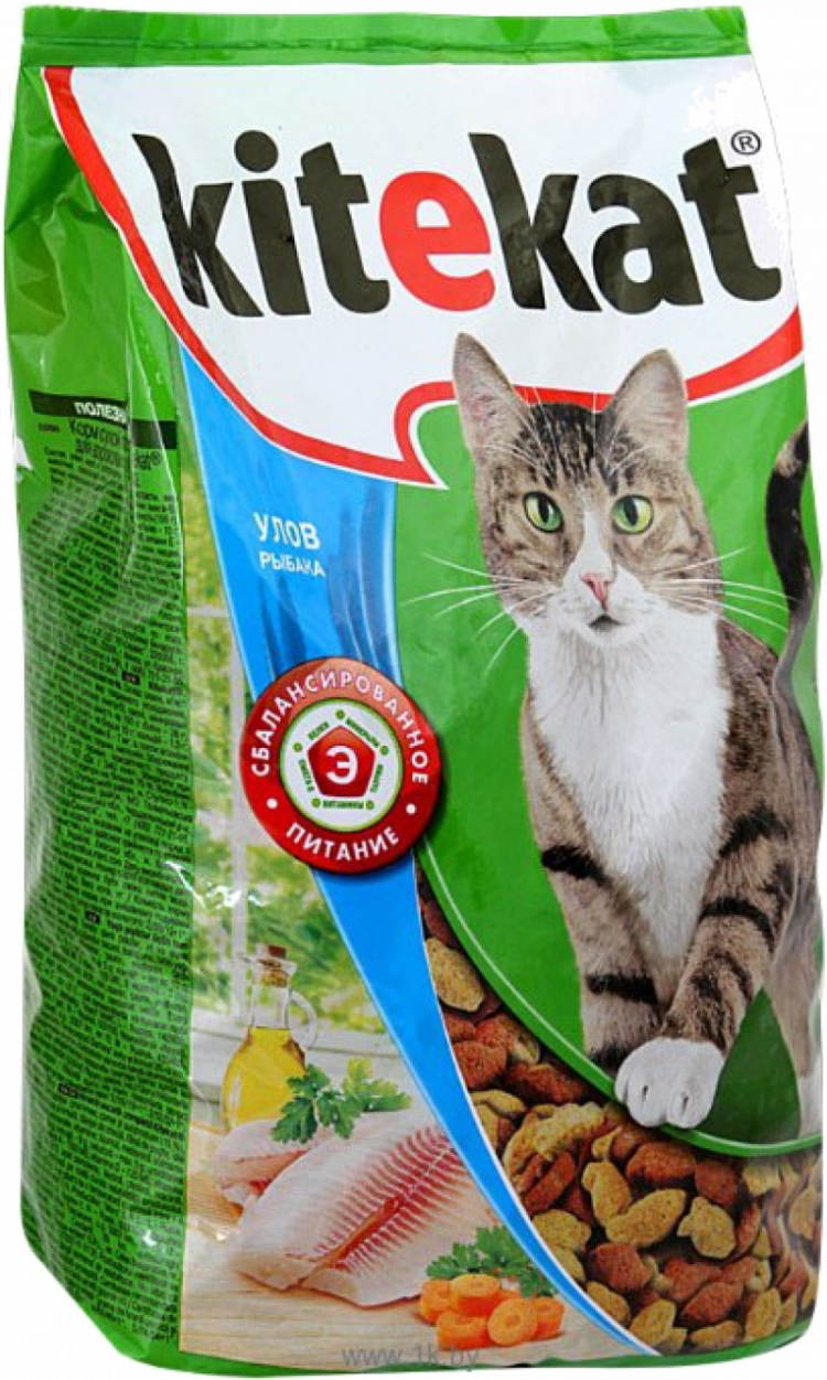 Китикет все виды