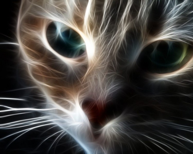 Красивая кошка с зелеными глазами