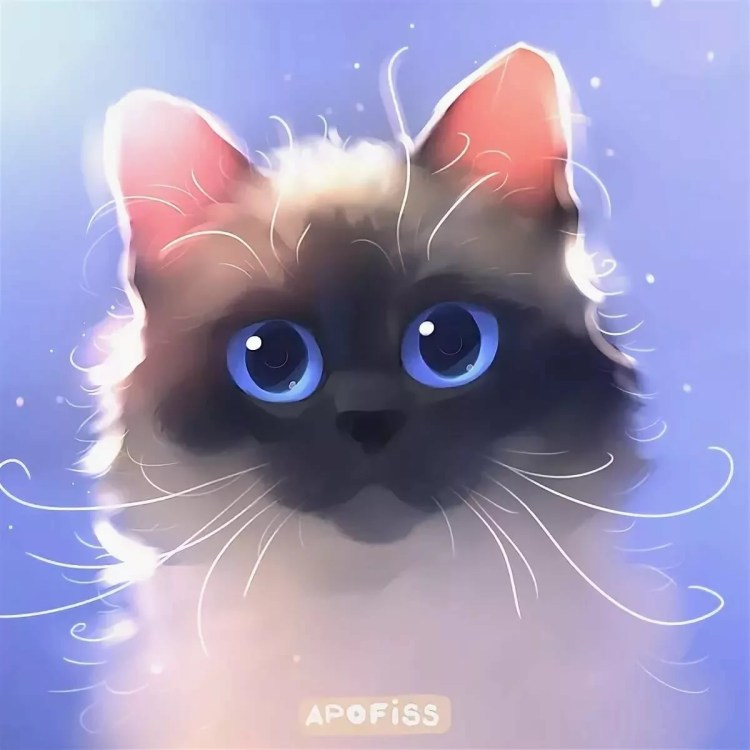 Огненный кот