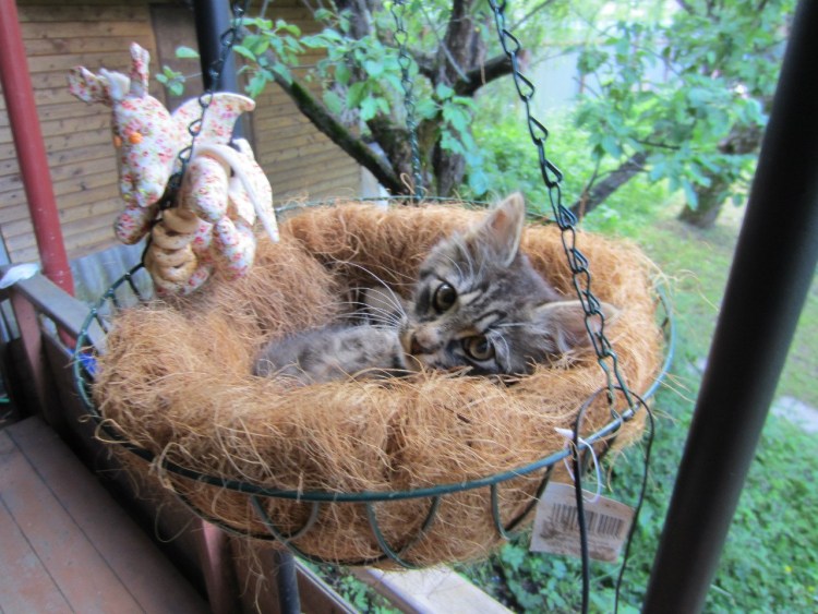 Гнездо для кошки