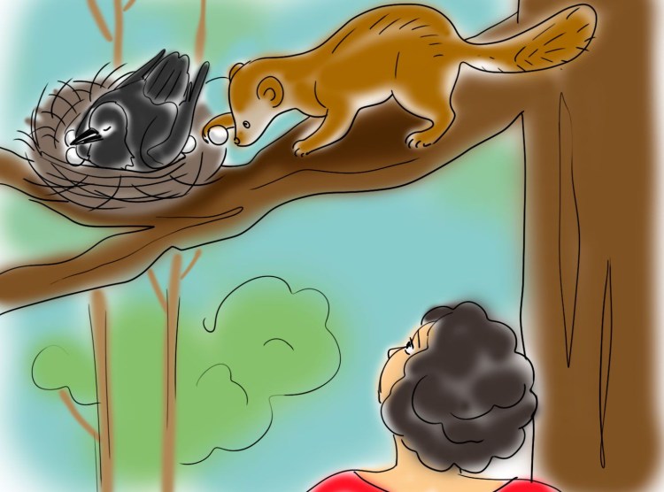 Гнездышко для котят