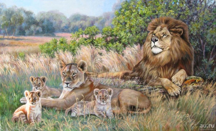 Лев львица и Львенок семья