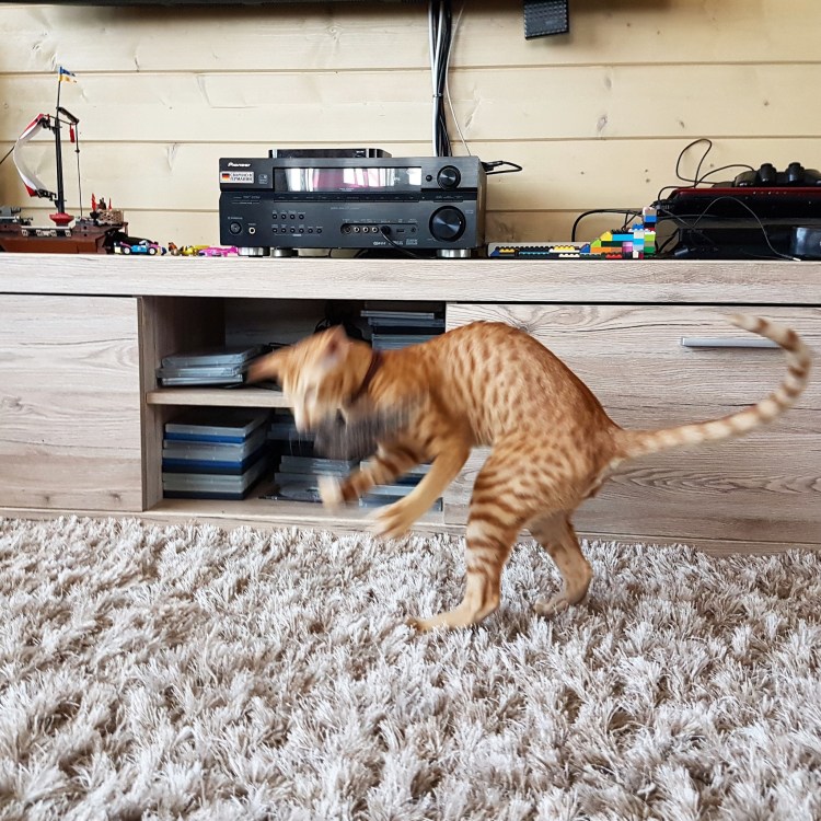 Стрижка британцев