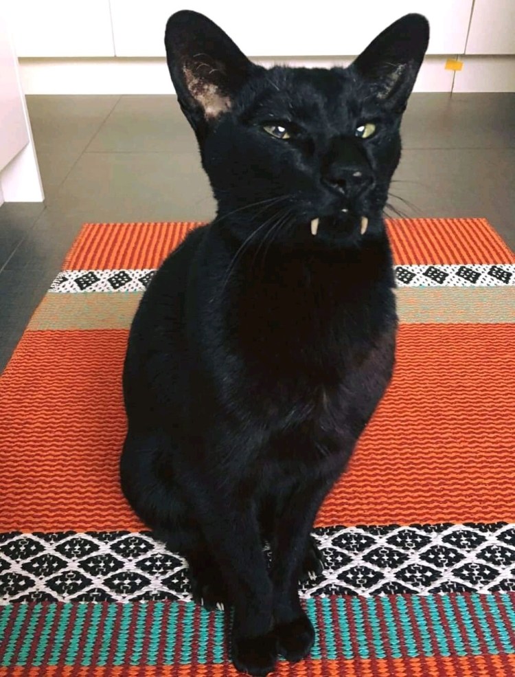 Граф Мрякула