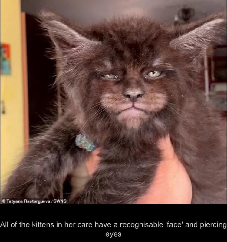 Мейн кун и Рон Перельман