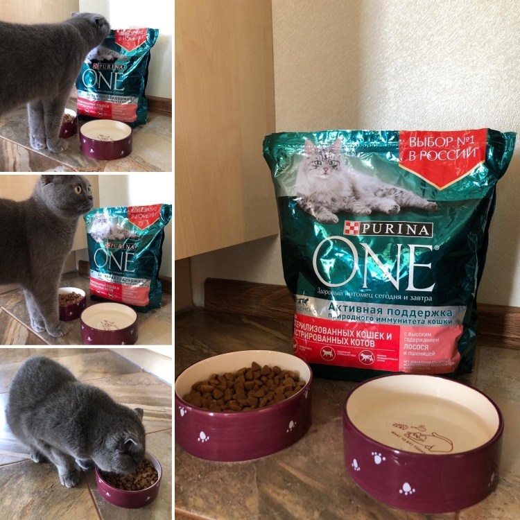 Perfect Fit 85гр пауч