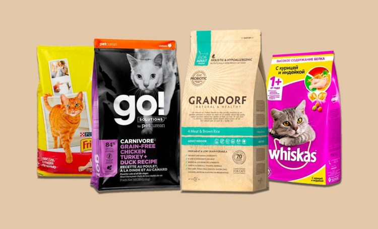 Какой корм для котят самый лучший по мнению ветеринаров