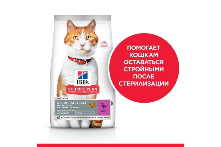 Brit пакетики для кошек