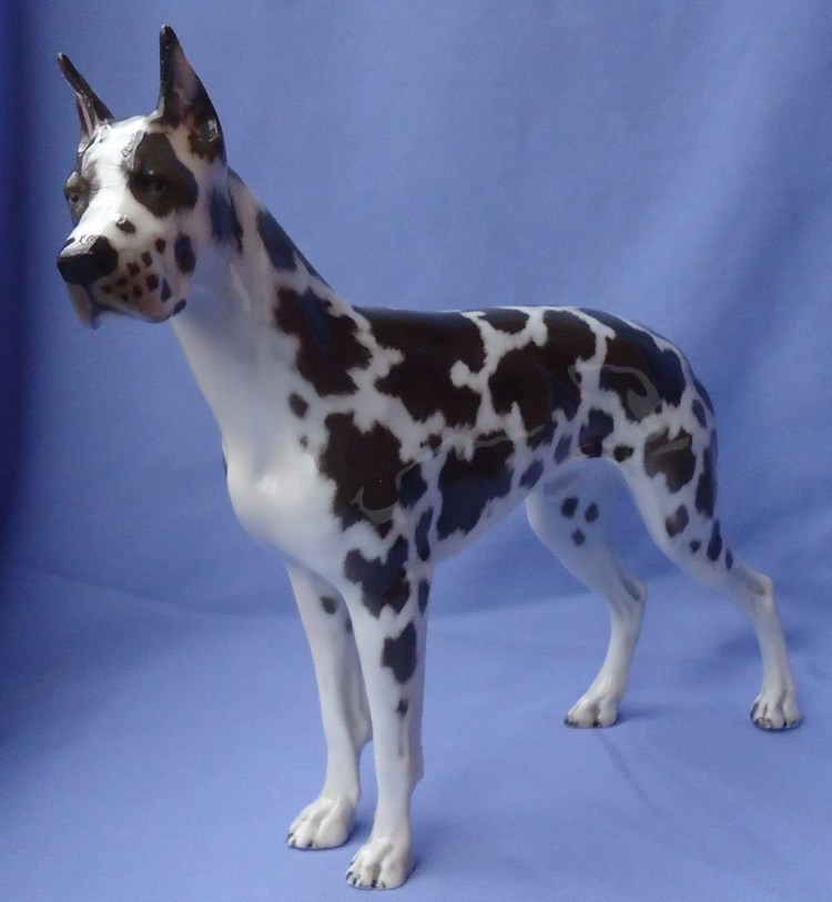 Собаки породы немецкий дог щенки