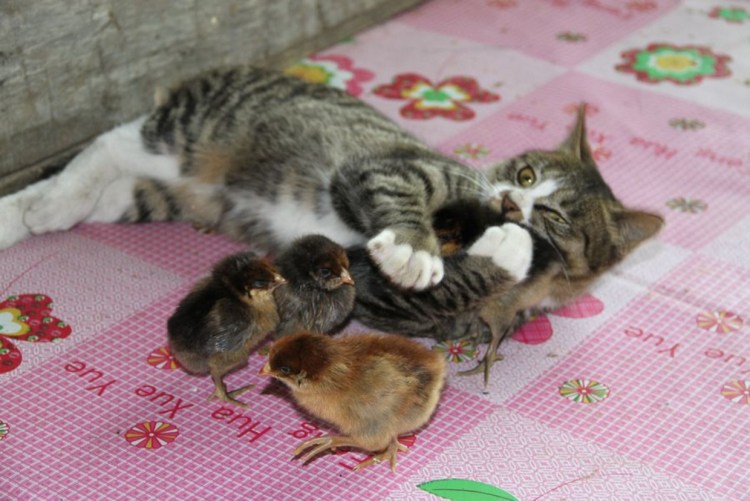 Марк Тейлор фотограф