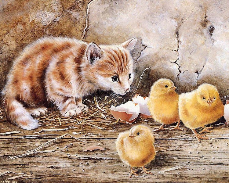 Художник Shirley Deaville