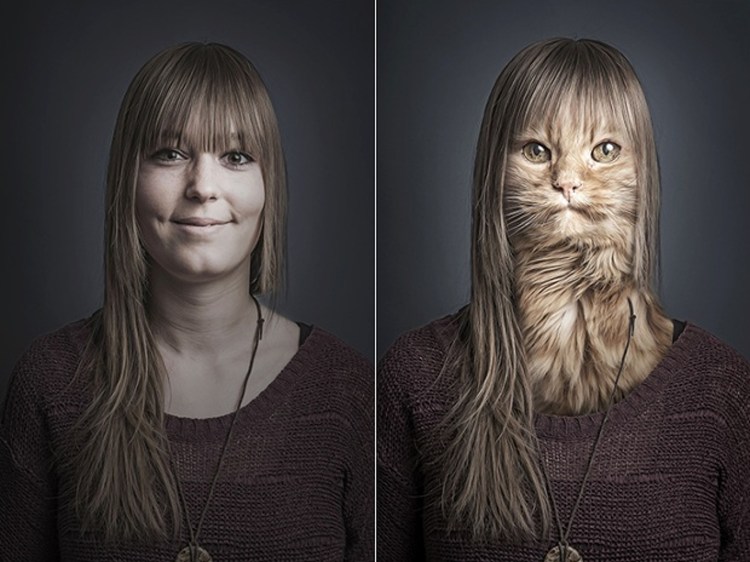 Кот с усами Чарли