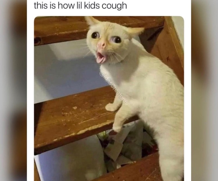 Кошка язык трубочкой