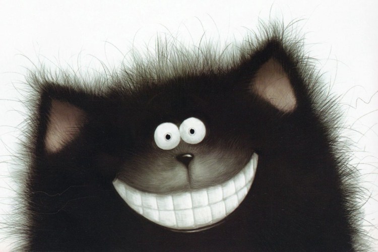 Кот Роба Скоттона