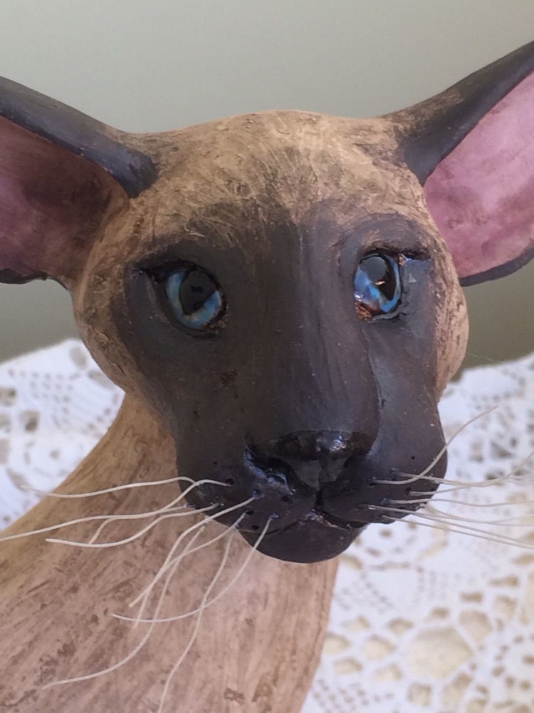 Корниш рекс Ориентальная