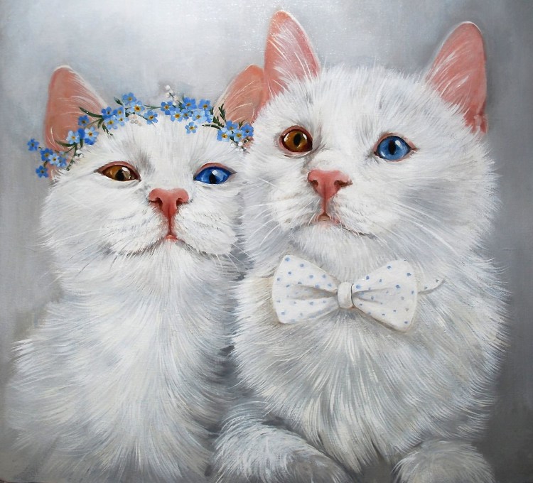Коты свадьба