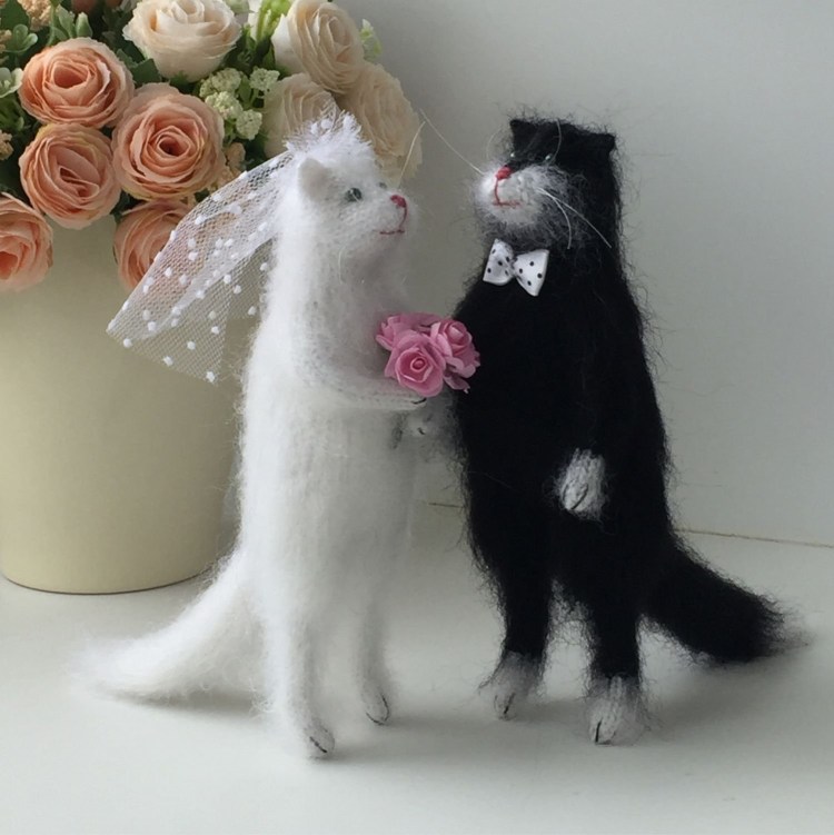 Кот невеста