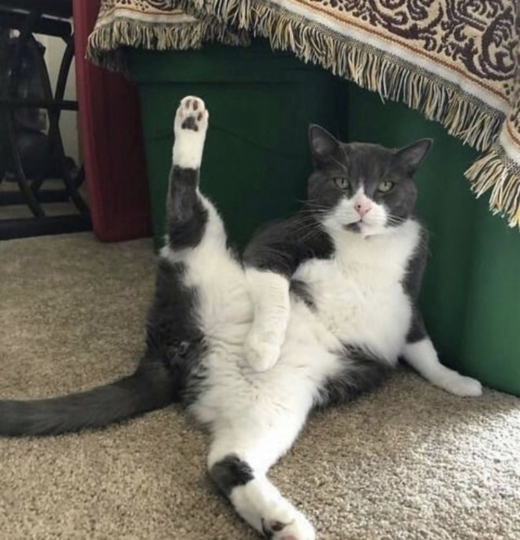 Хоба ультрахоба