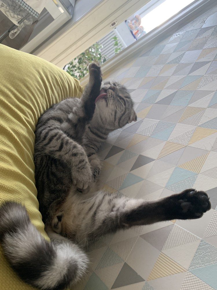 Хоба Дабл хоба