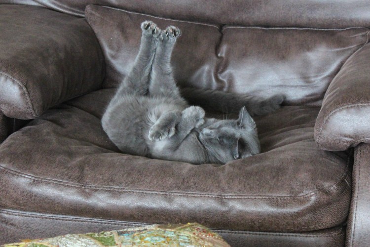 Усаживайся по удобнее