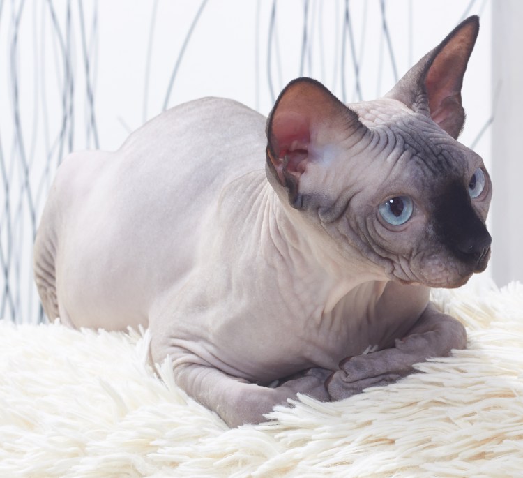 Тайский Меконг