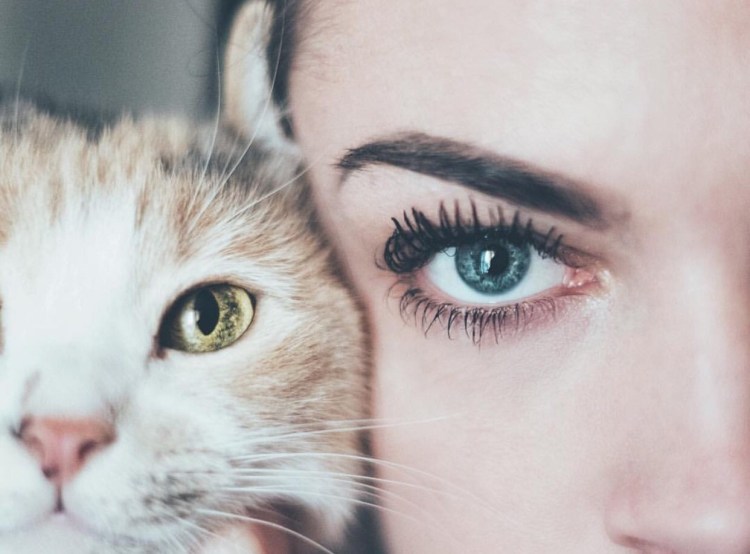Кошачьи ресницы