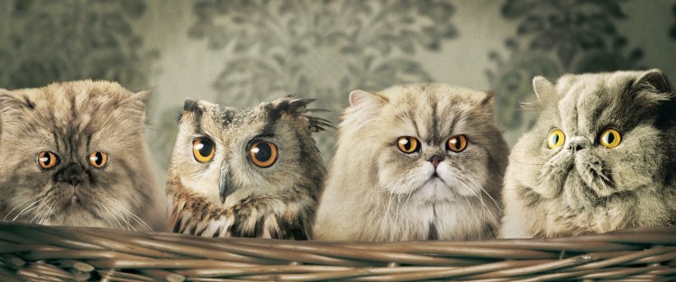 Смешанные животные