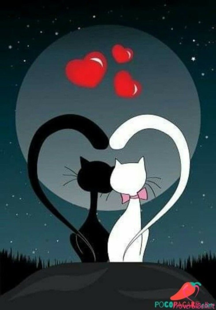 Силуэт кошек влюбленных