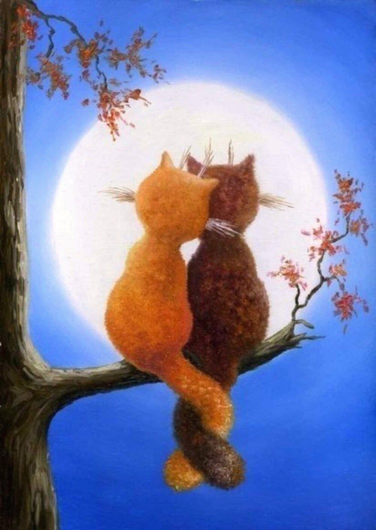 Влюбленный кот