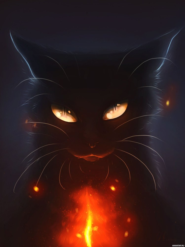 Коты Воители тень_арт