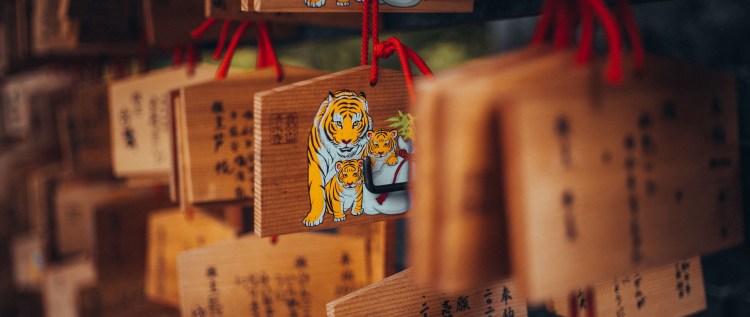 Белый тигр с тигренком