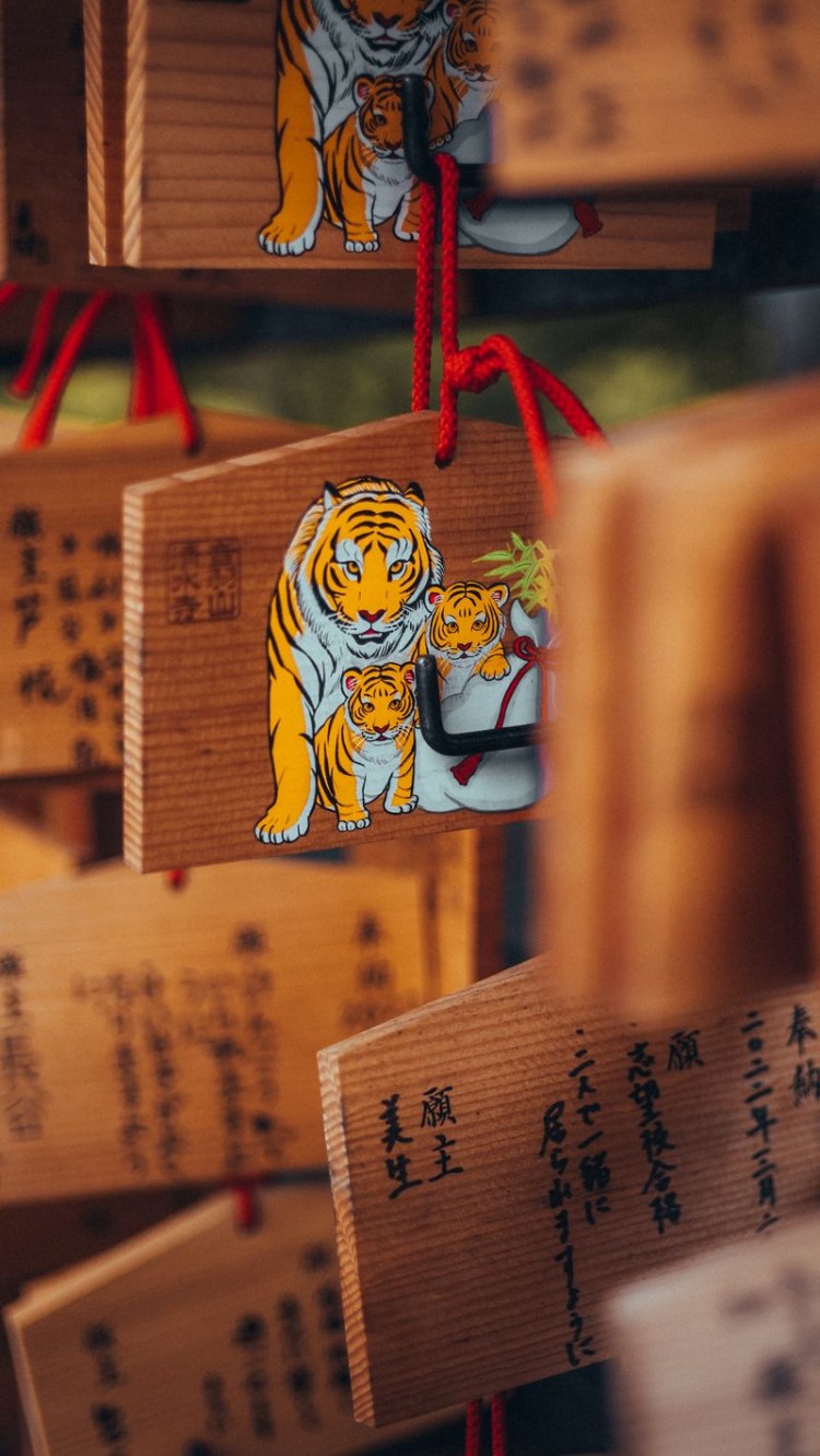 Суматранский тигр и Амурский