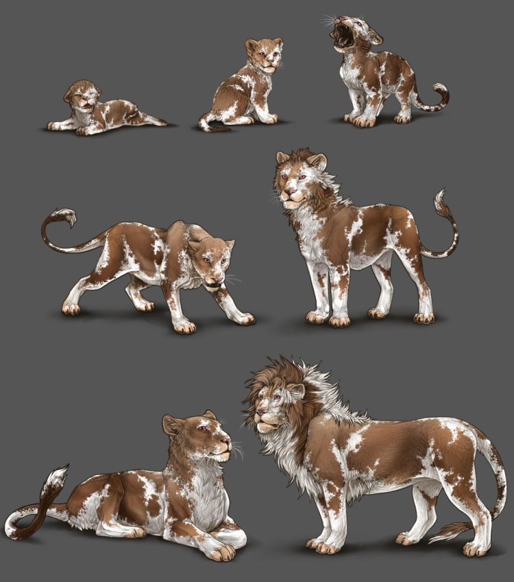 Окрасы Львов референс