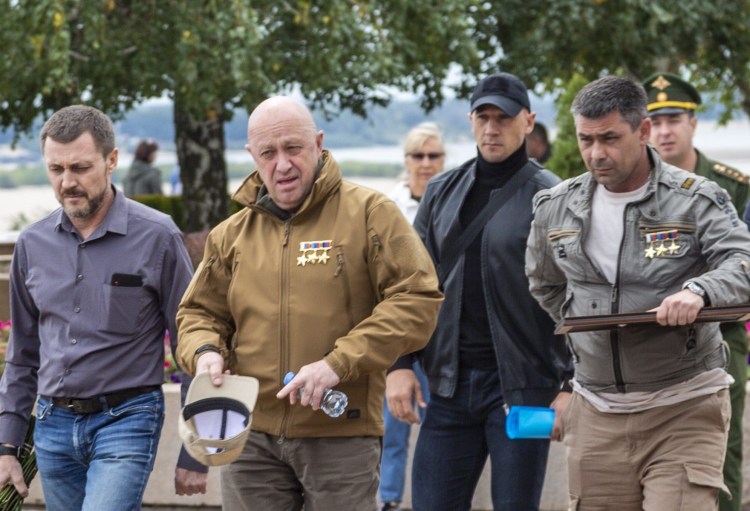 Здоровый кот