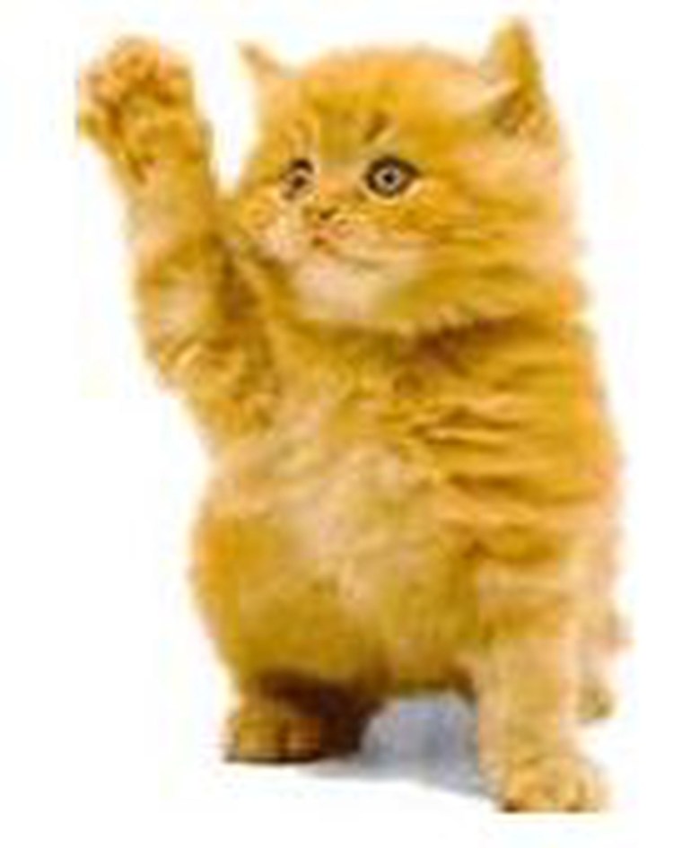 Смешные влюбленные