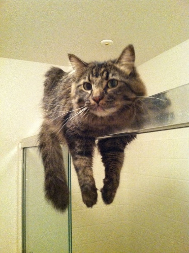 Выглядывает из за угла