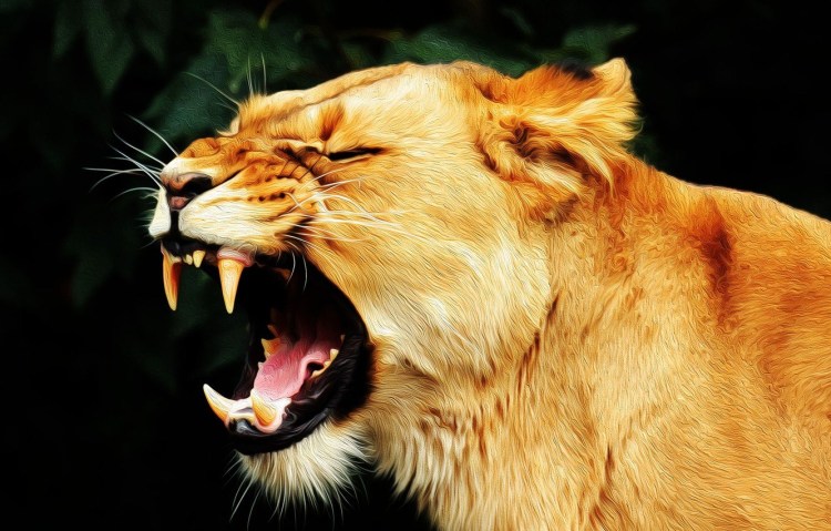 Рык львицы