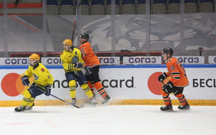 Толстые тигрята