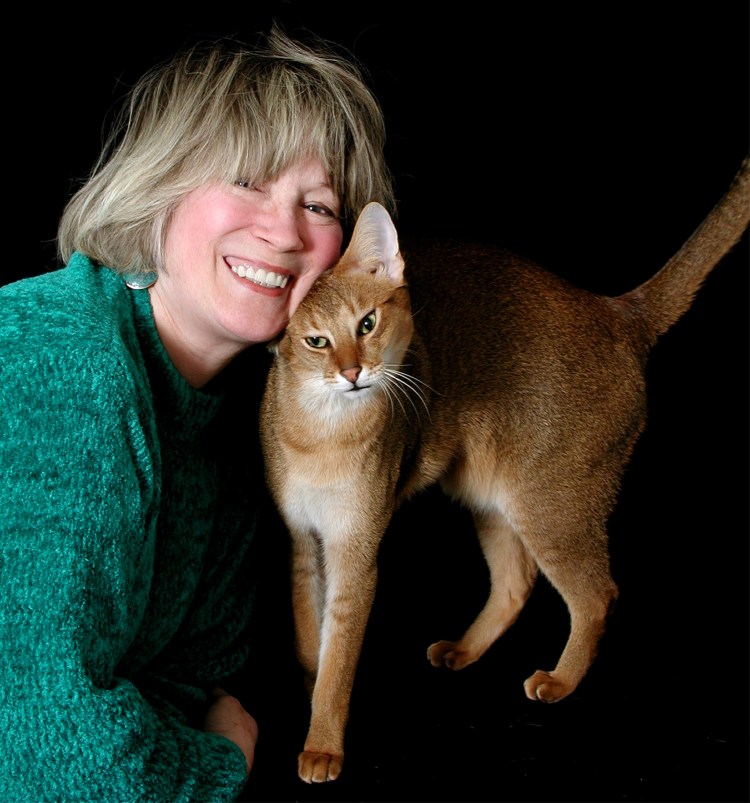 Чаузи ф1 абиссинский