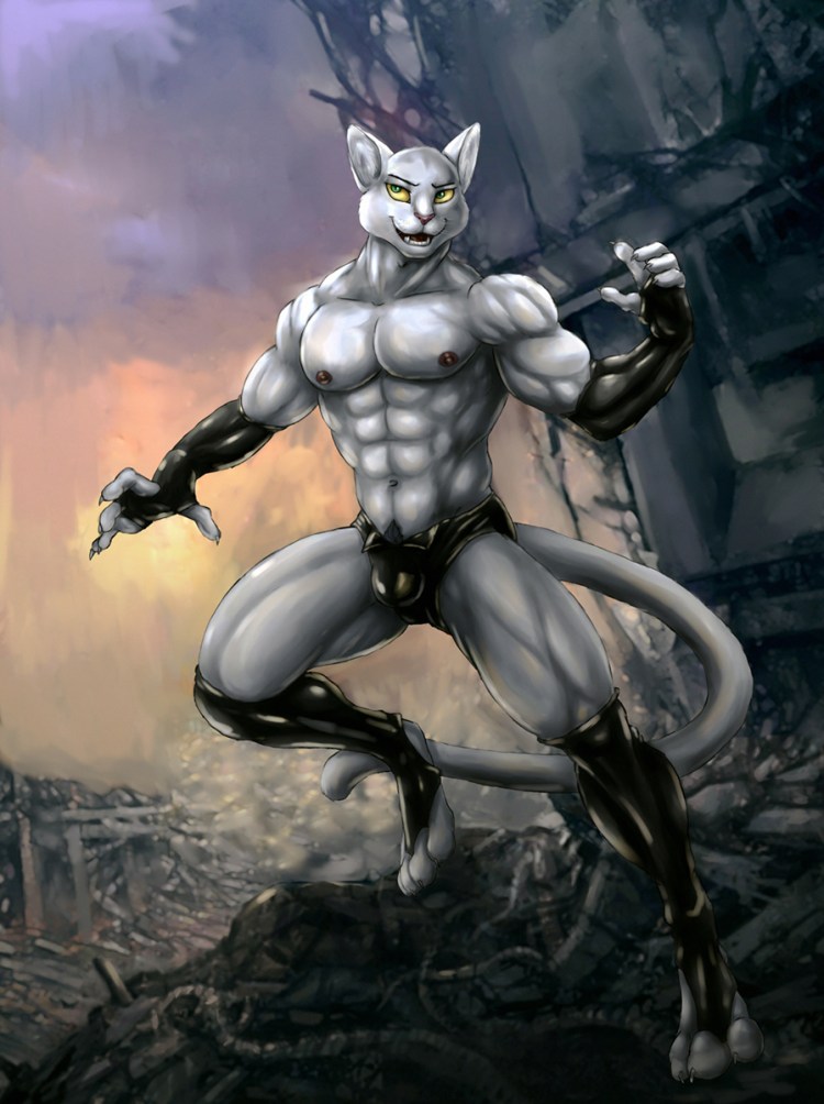 Кот с мускулами