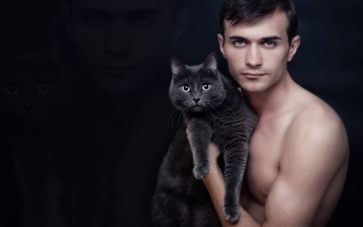 Сильный кот