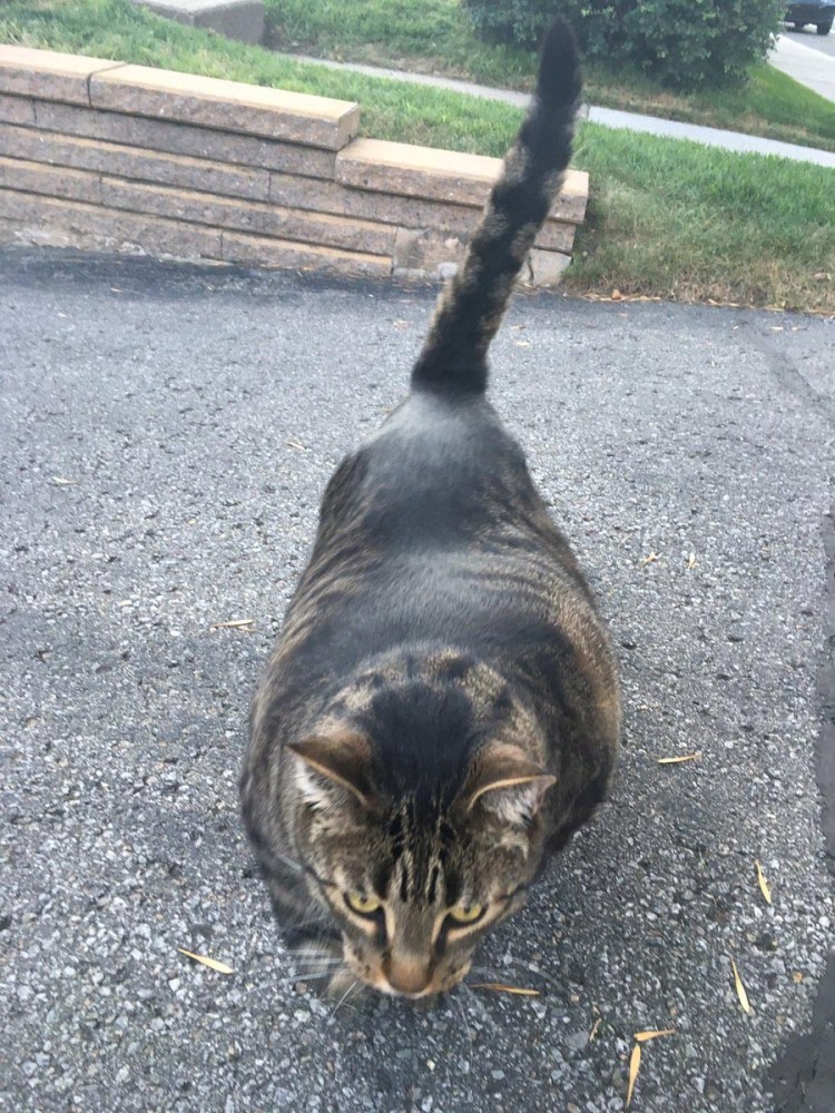 Максим Мурзин