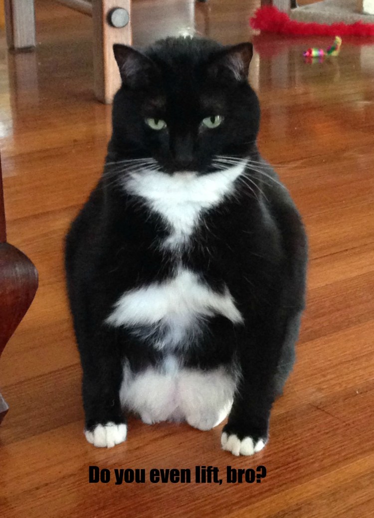 Роб гронковски торс