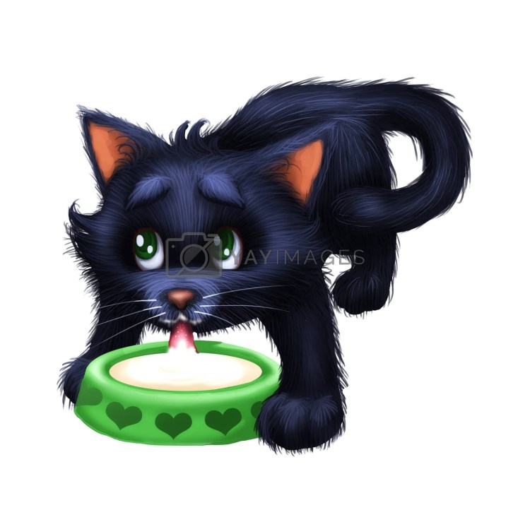 Котенок пьет молоко