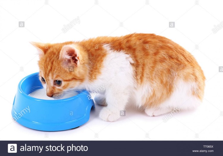 Пролитое молоко