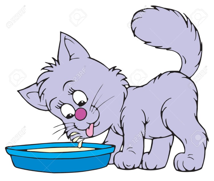 Кошка лакает молоко из миски