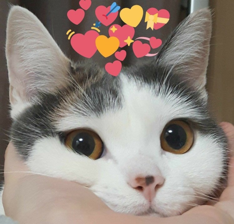 Очень довольная морда