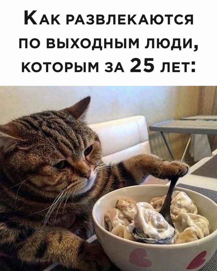 Позитивный котик