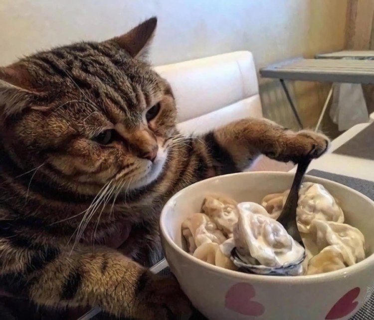 Котенок в сметане