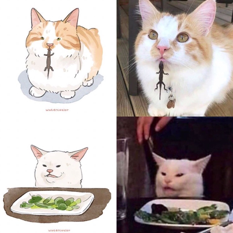 Животные с надписями для детей